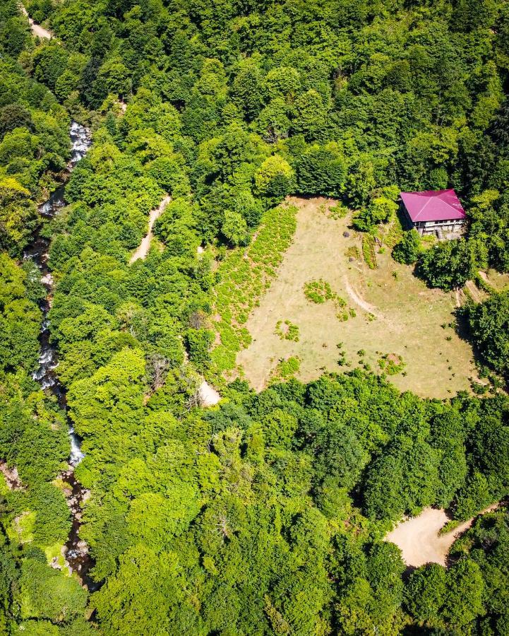 Mtirala National Park Hotel Orbeza Kobuleti Exterior foto